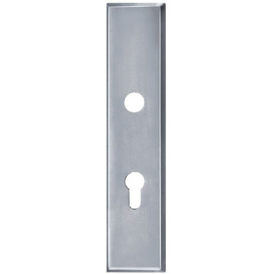 Stainless Steel Handle Plate